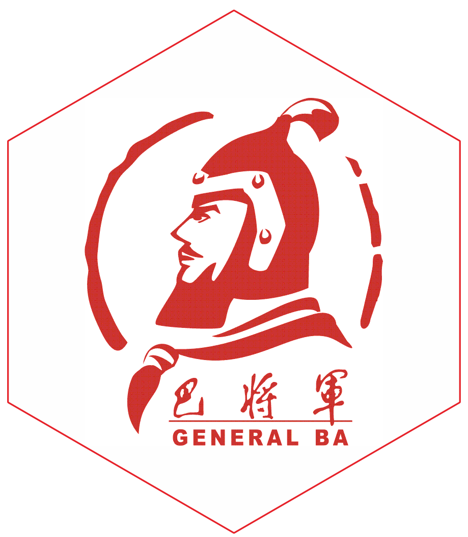 巴将军